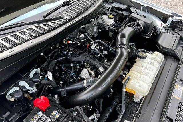 2025 Ford Expedition Active MAX
