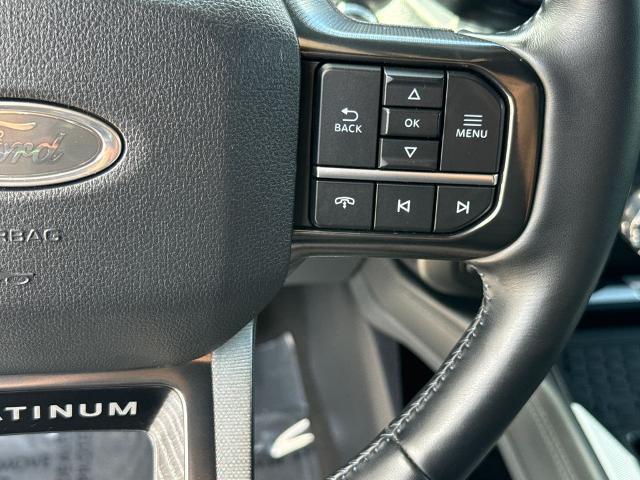 2025 Ford F-250 Platinum
