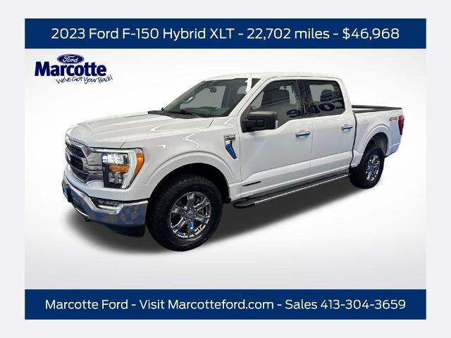2023 Ford F-150 XLT for sale in Holyoke, MA