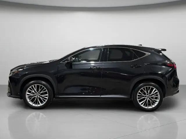 2025 Lexus NX 350h Luxury