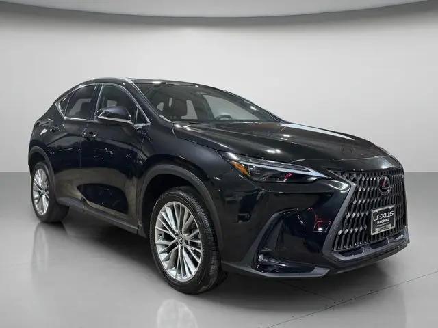 2025 Lexus NX 350h Luxury