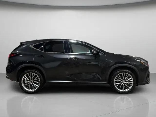 2025 Lexus NX 350h Luxury