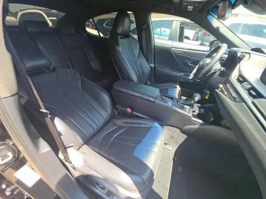2019 Lexus ES 350 F SPORT