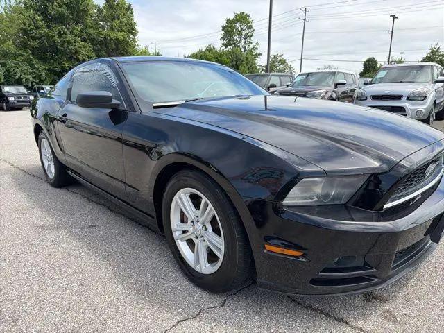 2013 Ford Mustang V6 for sale in Florence, KY