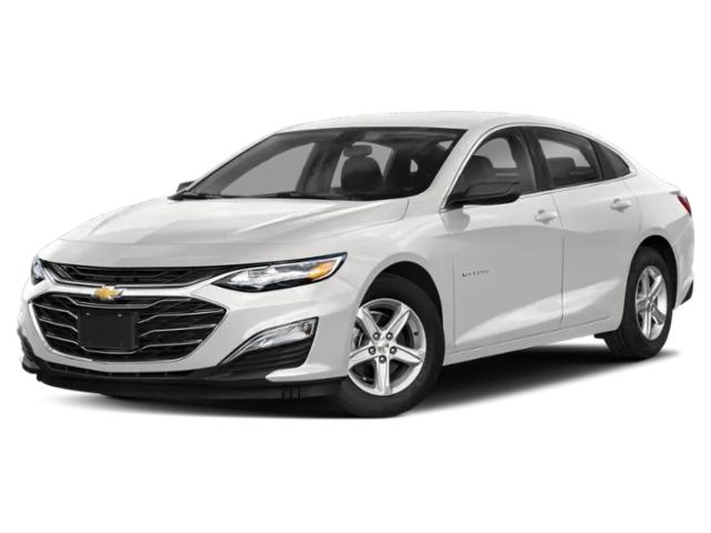 2019 Chevrolet Malibu 1FL 2019 Chevrolet Malibu 1FL