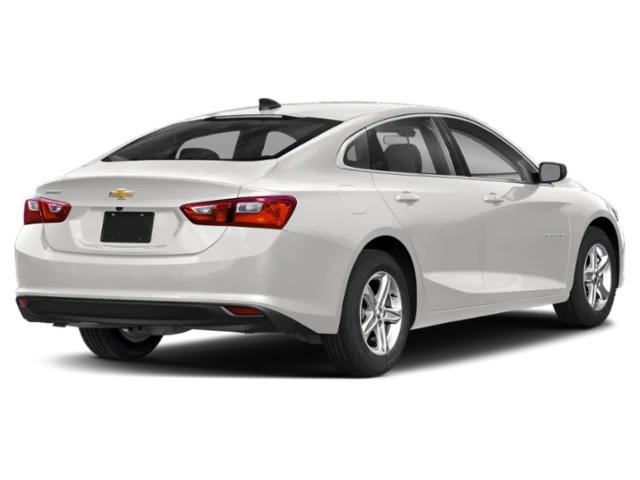 2019 Chevrolet Malibu 1FL 2019 Chevrolet Malibu 1FL