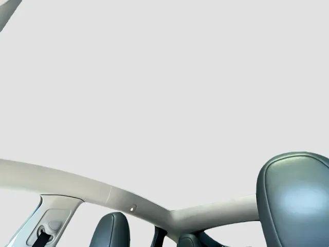 2023 Tesla Model Y Performance Dual Motor All-Wheel Drive