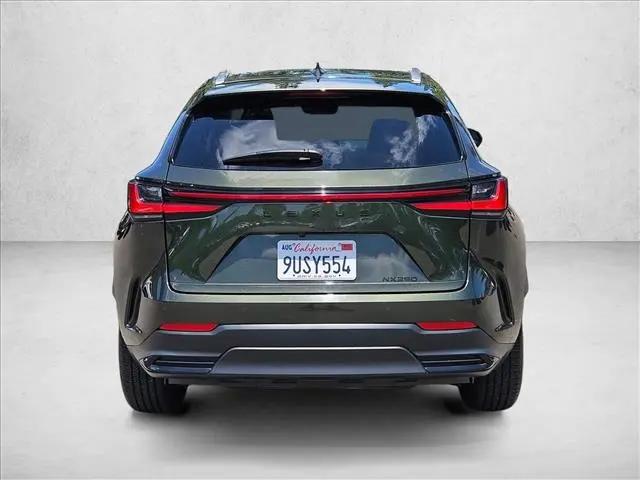 2025 Lexus NX NX 250
