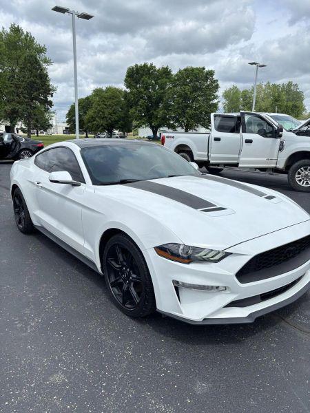2019 Ford Mustang EcoBoost Premium for sale in Larwill, IN