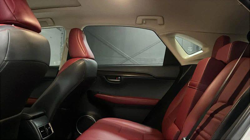 2020 Lexus NX 300 300