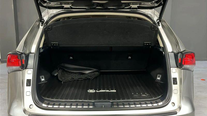 2020 Lexus NX 300 300