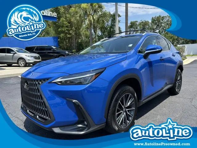 2025 Lexus NX NX 250 for sale in Jacksonville, FL