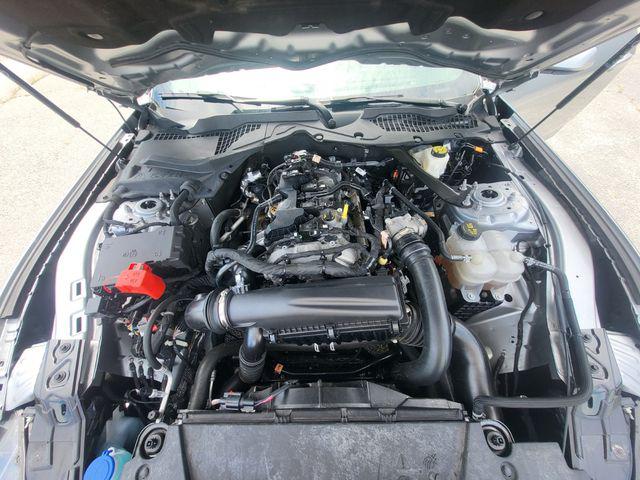 2024 Ford Mustang EcoBoost Premium Convertible