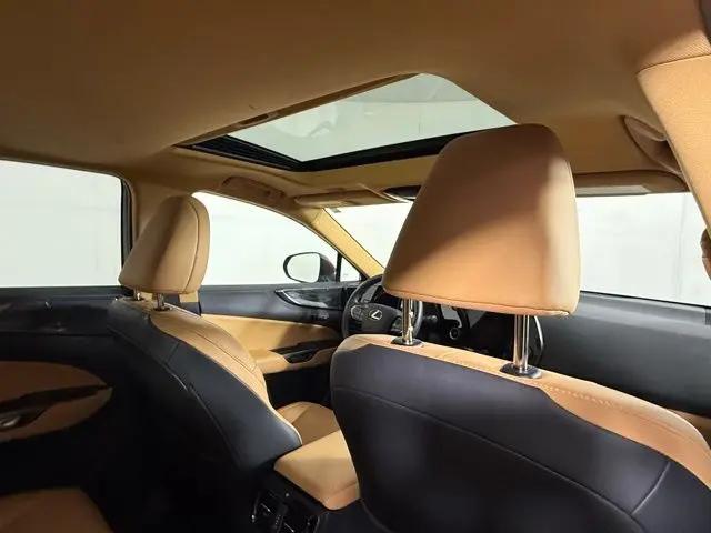 2025 Lexus NX Premium