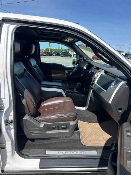 2010 Ford F-150 Platinum