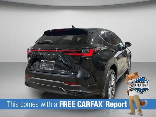 2023 Lexus NX 350h Luxury