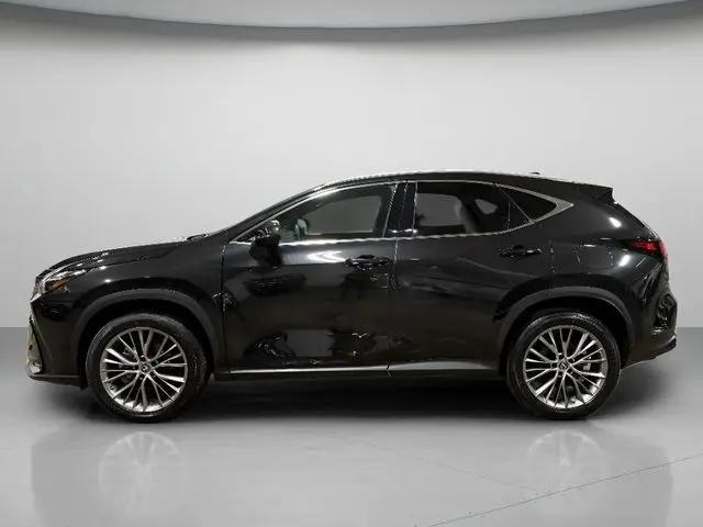 2023 Lexus NX 350h Luxury