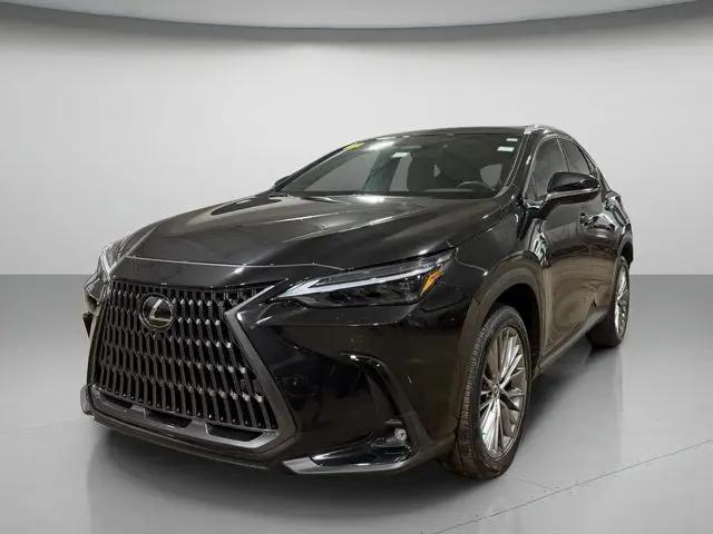 2023 Lexus NX 350h Luxury