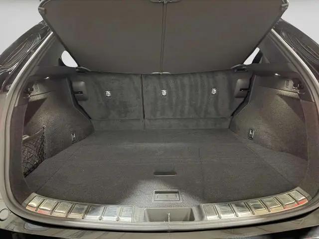 2023 Lexus NX 350h Luxury