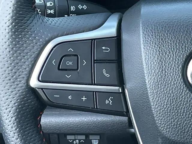 2025 Toyota Sienna XSE