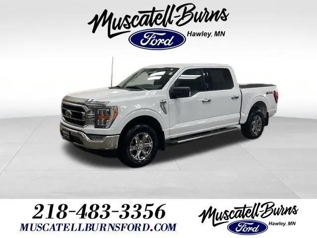 2023 Ford F-150 XLT for sale in Hawley, MN