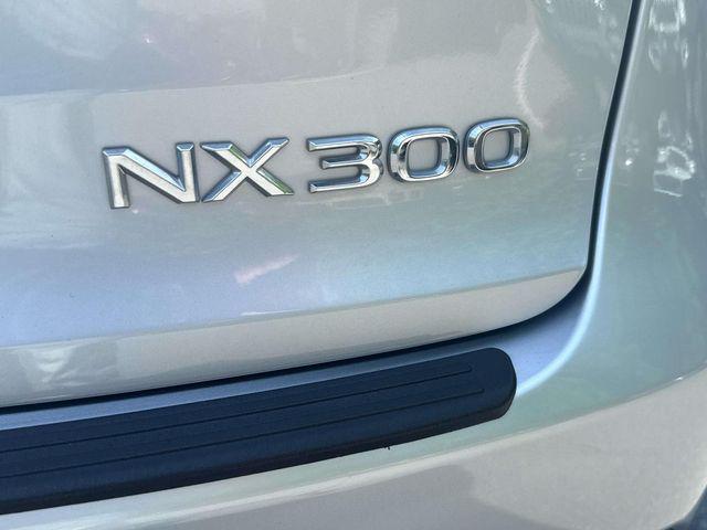 2019 Lexus NX 300 Unknown