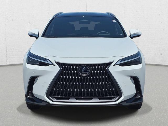 2026 Lexus NX Luxury