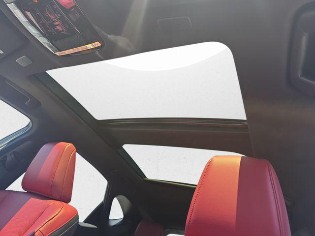 2026 Lexus NX Luxury