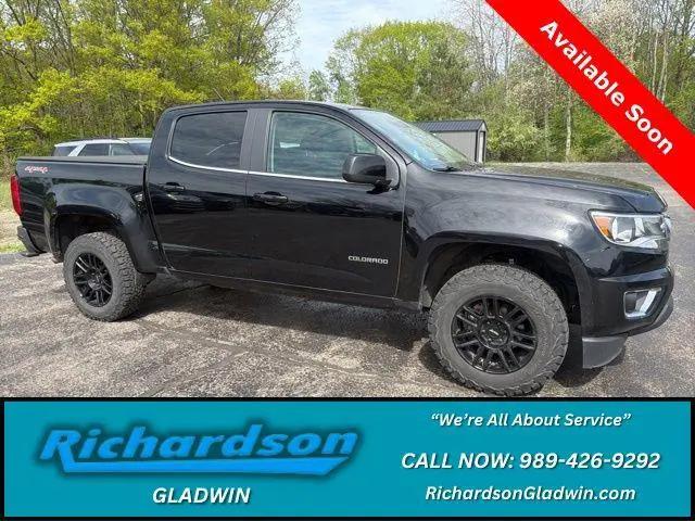 2017 Chevrolet Colorado LT for sale in GLADWIN, MI