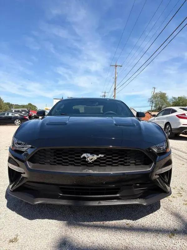 2019 Ford Mustang EcoBoost for sale in Nelsonville, OH