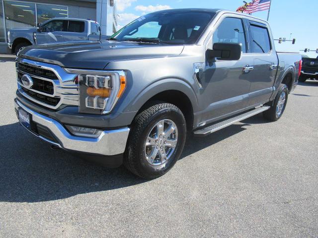 2023 Ford F-150 XLT for sale in Easton, MD