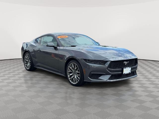 2026 Ford Mustang EcoBoost Fastback for sale in Huntington, NY