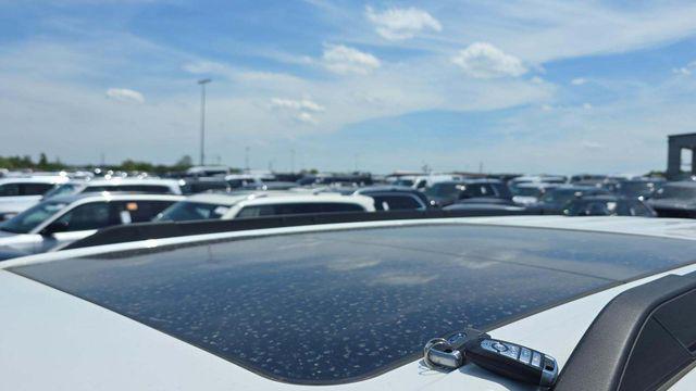 2025 Ford Expedition Active MAX