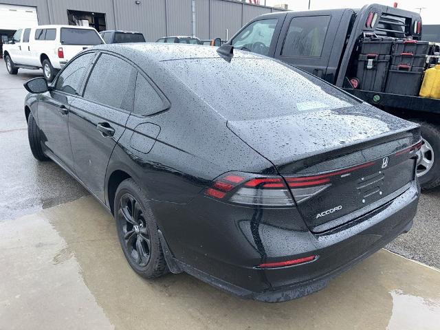 2025 Honda Accord Sedan SE