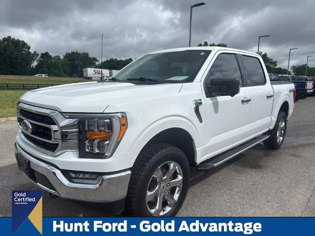 2023 Ford F-150 XLT for sale in Franklin, KY
