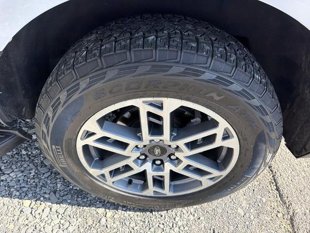 2025 Ford Expedition Active MAX
