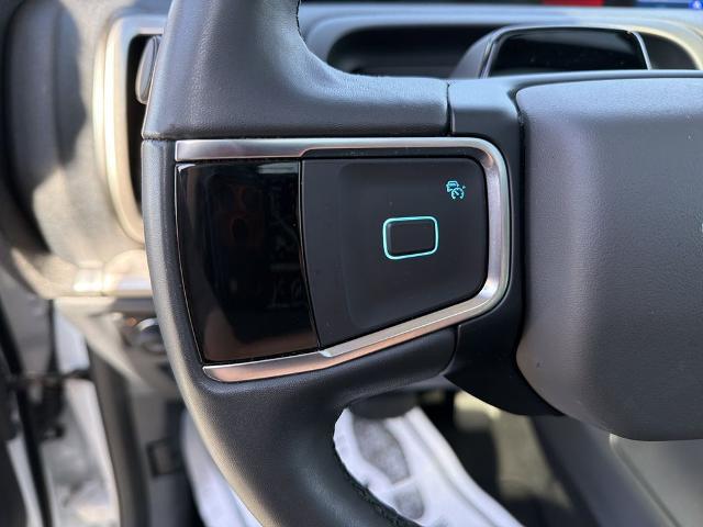 2025 Ford Expedition Active MAX