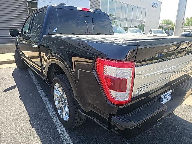 2023 Ford F-150 Limited