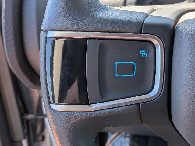 2025 Ford Expedition Active MAX