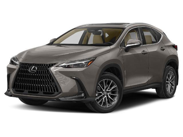 2022 Lexus NX 350 Premium for sale in Tarpon Springs, FL