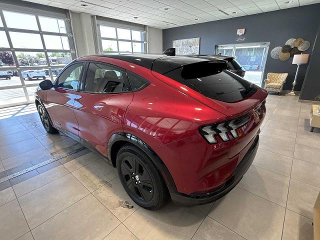 2023 Ford Mustang Mach-E California Route 1