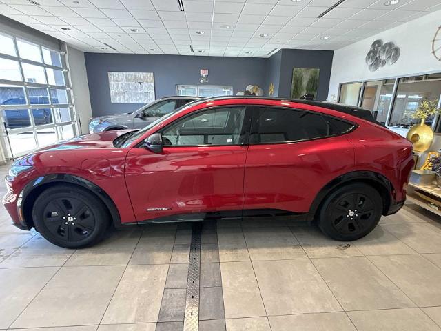 2023 Ford Mustang Mach-E California Route 1