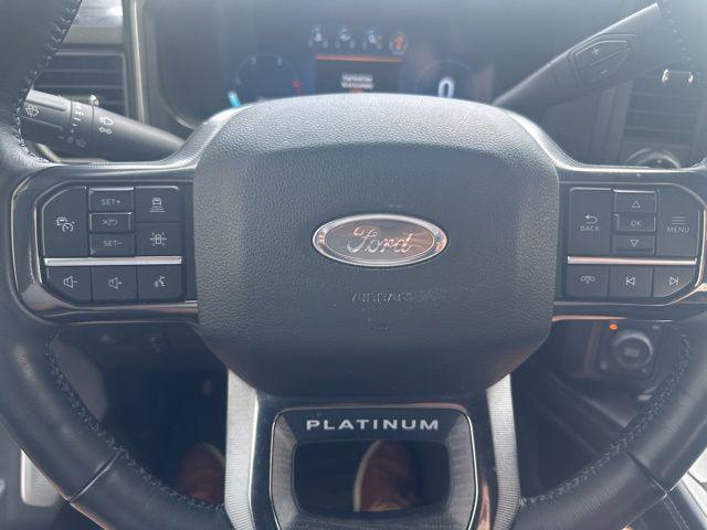 2025 Ford F-250 Platinum