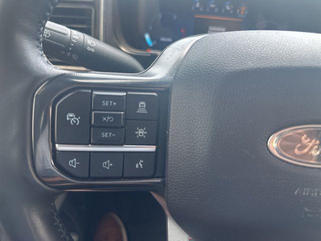 2025 Ford F-250 Platinum