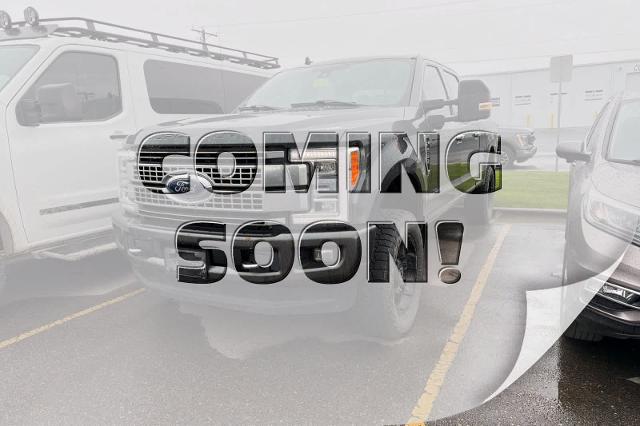 2019 Ford F-250 Platinum for sale in Idaho Falls, ID