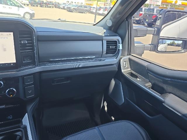 2025 Ford F-250 Platinum