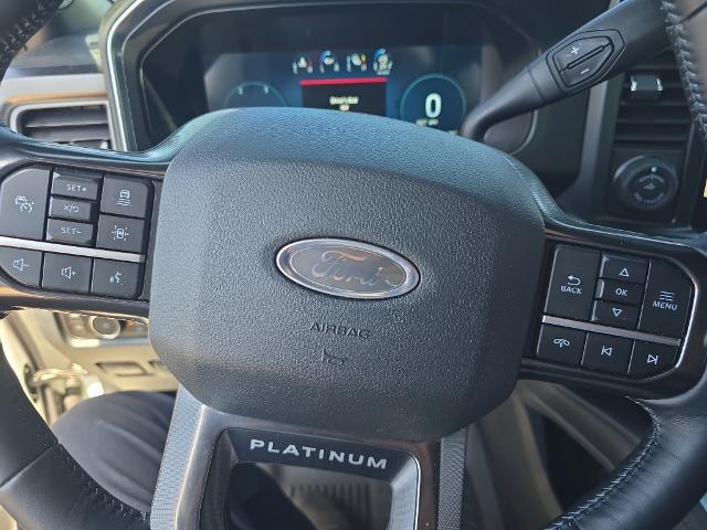2025 Ford F-250 Platinum