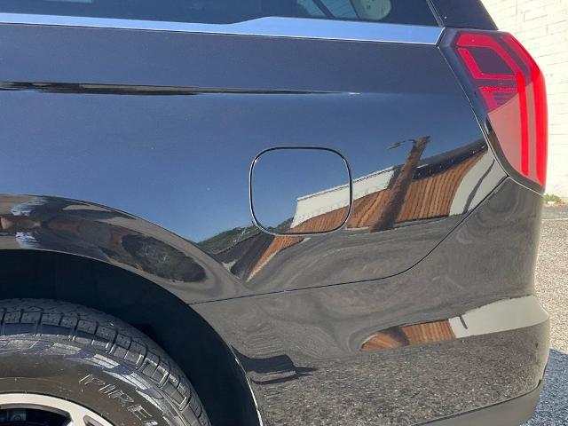 2025 Ford Expedition Active MAX