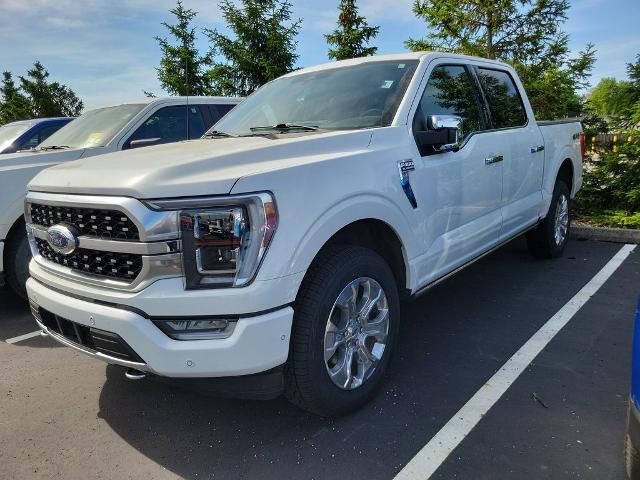 2023 Ford F-150 Platinum for sale in Battle Creek, MI