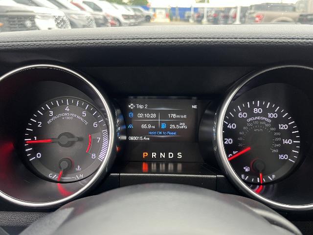 2019 Ford Mustang EcoBoost